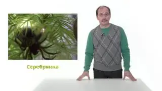 45. Сообщество озера. Часть 2