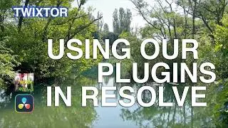 Using Twixtor in Resolve