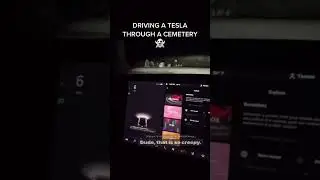Tesla sense ghosts in a cemetery 👻 #tesla #ghost #haunted #graveyards #shortsviral #shortsvideo