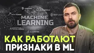 Виды признаков в ML: что нужно знать