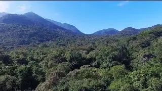 Nature 4k Drone Video