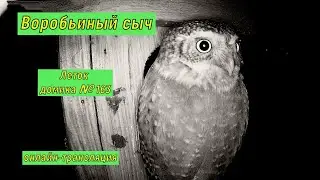 #онлайн