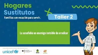 Taller 2- Hogares Sustitutos