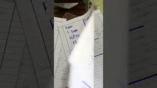 Exams Time at Kurram School and College Parachinar #exams #examstime #examstime #StudyTime #Schools