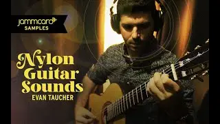 Nylon Guitar Sounds | Evan Taucher | Jammcard Samples on Splice