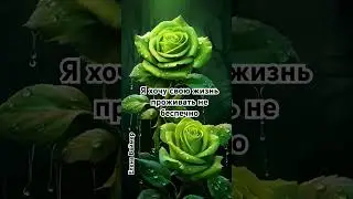 Жизнь-поле. Елена Ваймер