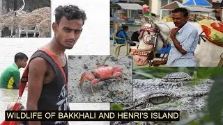 Bakkhali Sea Beach and Henri's Island Wildlife | Weekend Tour from Kolkata | Tour Plan Details 2021