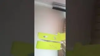 ты не птенец ты крыса