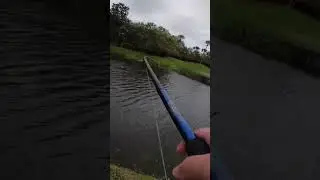 Orlando Resort Bass Fishing