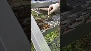 #работа #покраска #лестницы