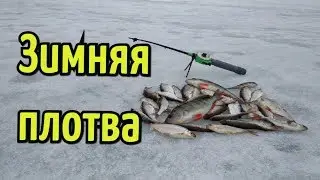 Ловля плотвы на поплавочную удочку зимой. Как поймать плотву зимой?