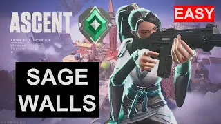 BEGINNER SAGE WALLS FOR ASCENT 