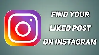 How to Find Liked Posts on Instagram