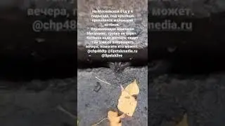 Котенок упал под лестницу