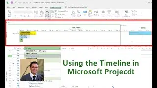 How to use the Timeline in Microsoft Project