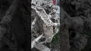 Двигатель от самалета