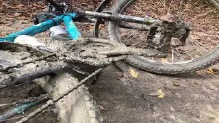 Вечный зов Папая