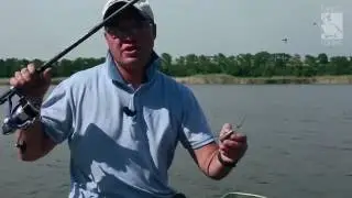 Ловля карпа фидером на очень заиленном водоеме.