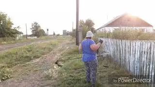 Туристы  на Мальдивах!!! Деревенские  хлопоты 🤗🤗🖐