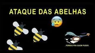 Ataque das abelhas