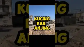 persahabatan yang bikin nangis #alurcerita #shorts #viralshorts