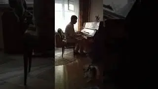 Маркуша Гальперин играет на пианино. Всем хорошей недели!