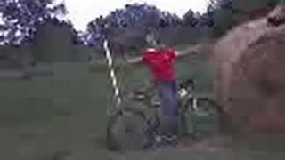 botta sulle balle di fieno