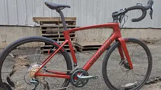 Base Model, Top Performance: Specialized Roubaix SL8 (2024 Edition)