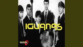 Surfin' Bird (feat. Iggy Pop)
