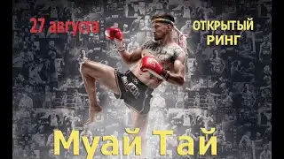Турнир Муай-Тай 27.08.23 в центре ИСКРА