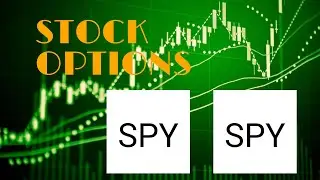 Stock Options Day Trading Daily Update | SPY TSLA SPY