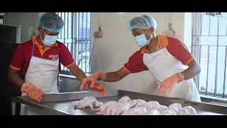 FreshK Farm Video