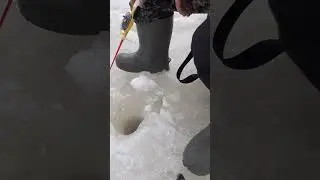 как клюёт окунь на озере.#деревня #озеро