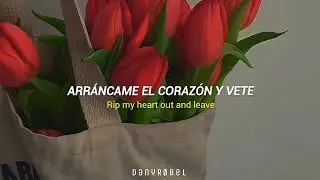 5 Seconds of Summer - Not in the same way (Traducida al español + lyrics)