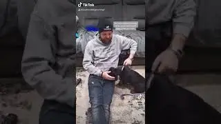 Puppy Biting, Simply Fix