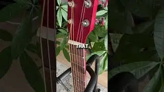 Budget Travel Guitar From Temu - Ray Paul TG100