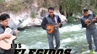 RIO INAMBARI- Elegidos de Coasa - Amarildo Pineda
