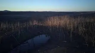 Tree Planting and Cut Block Landscapes in Northern Canada by Drone/ Aerial | FREE Stock Footage