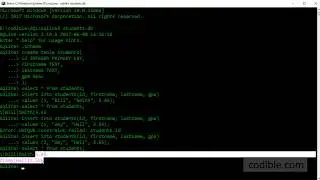 Codible SQLite video 2: Quickly create a simple table in a database (SQLite3)