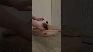 Рецепт настоящего бургера 🍔