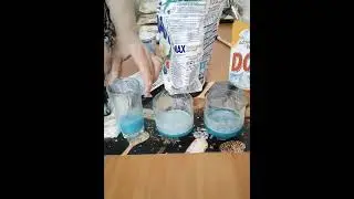ЗЕЛЁНКА//ТЕСТИРУЮ СТИРАЛЬНЫЙ ПОРОШОК.