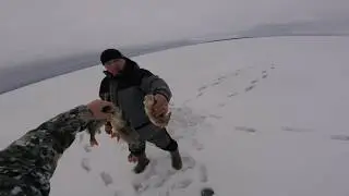 Рыбалка, жерлицы на таежном озере (Север Вологодской области, щука, судак, налим и окунь)