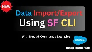 Salesforce Data Import Export Tips Using SF CLI | @SalesforceHunt  | #winter25