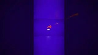 Cinematic style logo animation intro