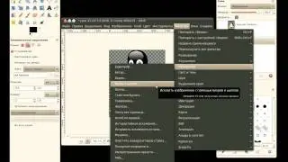 Фильтры искажения в GIMP.avi