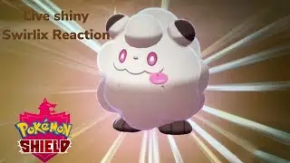 Live Shiny Swirlix Reaction In 909 Eggs #shinypokemon #livereaction #pokemonswordandshield #shorts