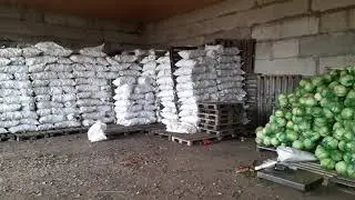 Хранение овощей