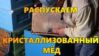 Распускаем кристаллизованный мёд.
