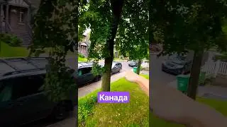 Канадская загадка. Почему так паркуются? 