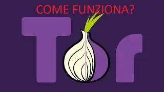 Come funziona TOR? A cosa serve?